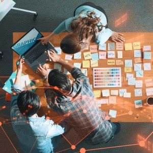 Diverse skills, one vision